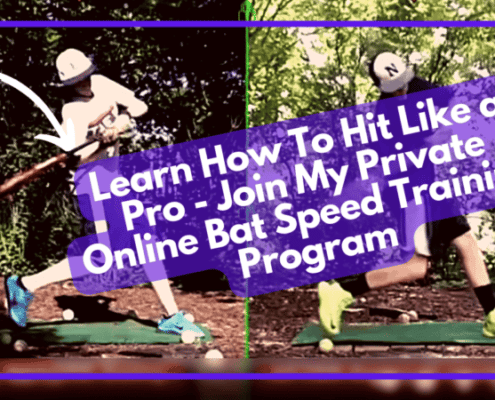Online Baseball Softball Hitting Lesson Private Training Program For Bat Speed