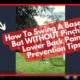 How To Swing A Baseball Bat WITHOUT Pinching Lower Back Pain: Prevention Tips