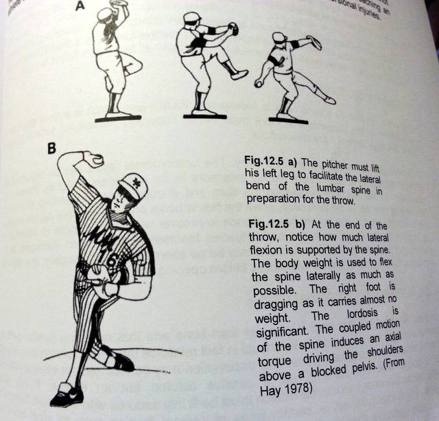 A page out of Dr. Serge Gracovetsky's book The Spinal Engine for baseball pitching...