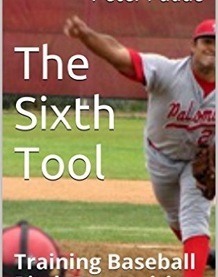 Hitting Training For Baseball & Softball Swing Trainers | Hitting Performance Lab