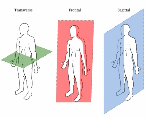 Hitting Training For Baseball & Softball Swing Trainers | Hitting Performance Lab