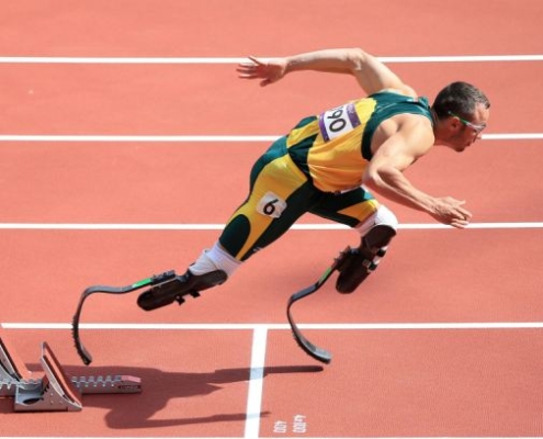 Hitting Training For Baseball & Softball Swing Trainers | Hitting Performance Lab