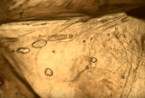 Hitting Training For Baseball & Softball Swing Trainers | Hitting Performance Lab