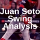 Juan Soto Swing Breakdown