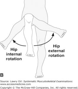 internal-external-hip-rotation ⋆ Hitting Performance Lab LLC