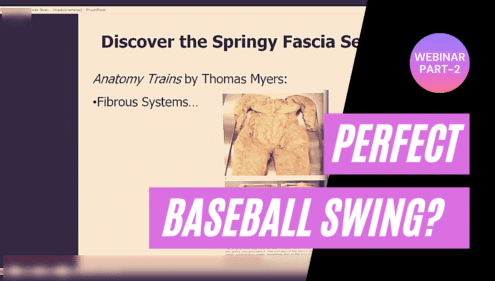 Perfect Baseball Swing