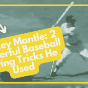 Increase Hitting Power Using Catapult Loading System To Hit Baseball Or  Softball Harder & Farther Like Pete Alonso - Unlock Youth Baseball Mastery:  Science-Backed Online Training Plans!