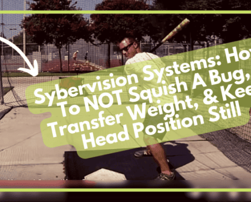 Sybervision Systems: How To NOT Squish A Bug, Transfer Weight, & Keep Head Position Still