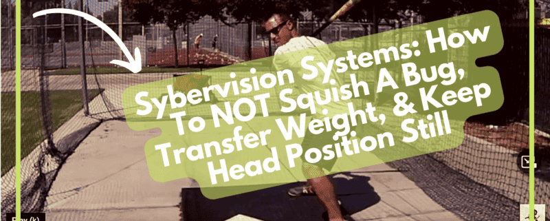 Sybervision Systems: How To NOT Squish A Bug, Transfer Weight, & Keep Head Position Still