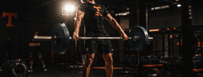 D1 Baseball Workout Program PDF — Free 12-Week Off-Season Plan