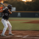 No Stride Baseball Swing Zepp Data + 3 CLS Movements